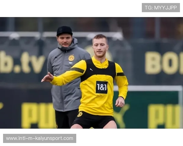 泰尔齐奇携成熟经验，回归引期待，泰尔泰尔