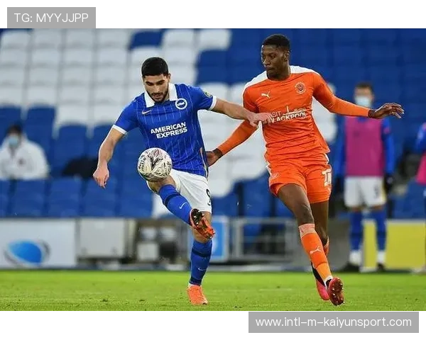 赛事焦点回顾数据详尽，赛事焦点回顾数据详尽怎么写