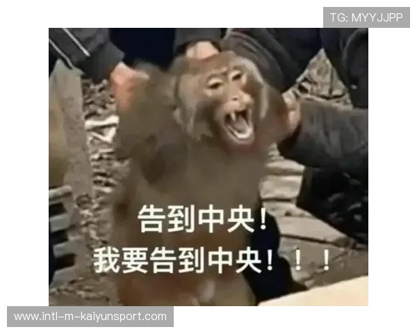 观赏性拉满名场面频出